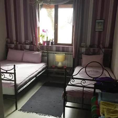 Casa de hóspedes спасителна Brezhani